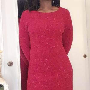 Long Sleeve Vintage Holiday Dress (12P)